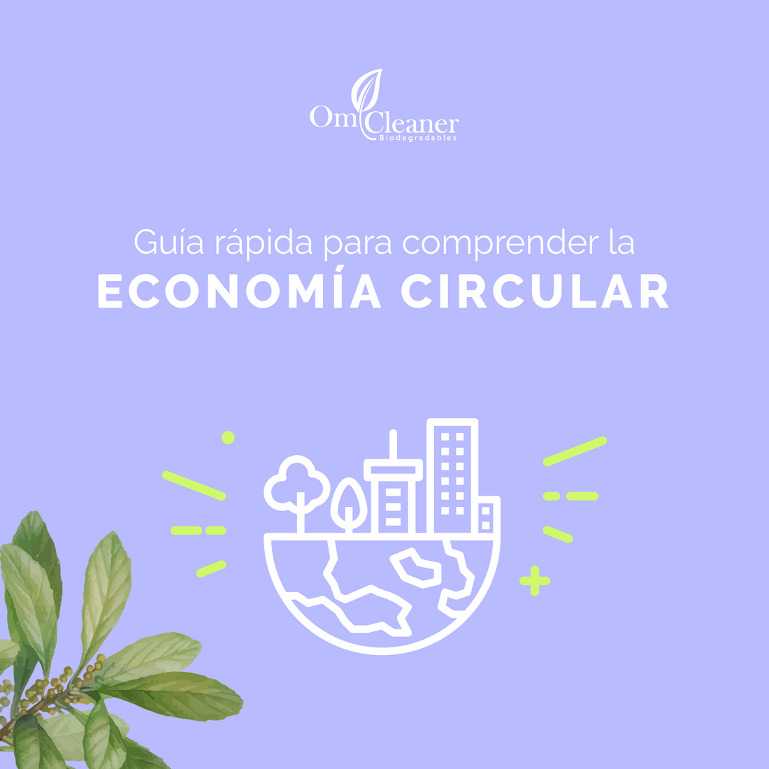 Conoce nuestra metas de impacto Social