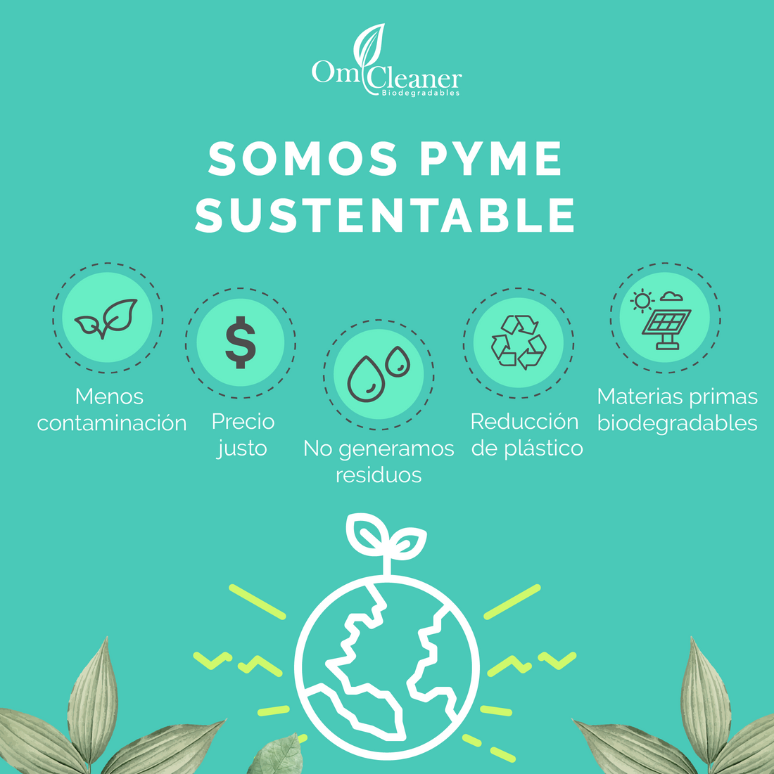 Conoce nuestra metas de impacto Ambiental