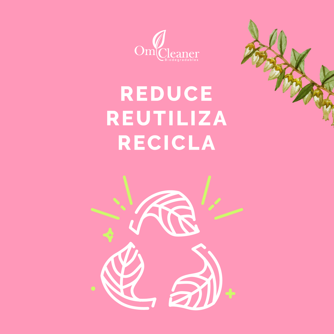 REUTILICEMOS LOS ENVASES PLÁSTICOS TANTAS VECES SE PUEDA!